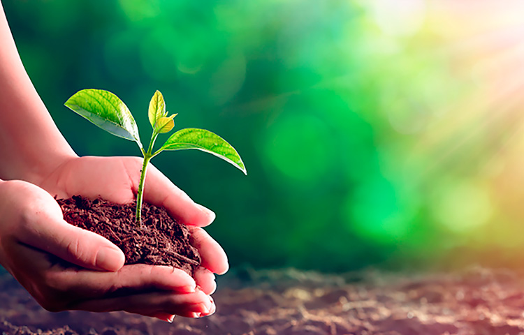 AG��˾(�й�����)�����޹�˾����